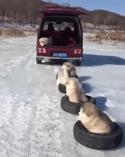 salir,paseo,familia,coche