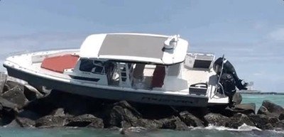 liberad a willy,barcos