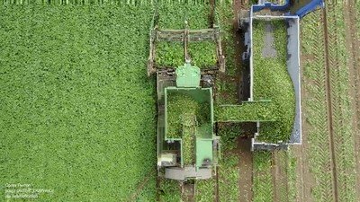 zen,maquina,desde arriba