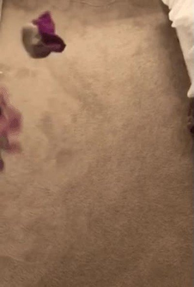 monstruo,debajo,cama,existir