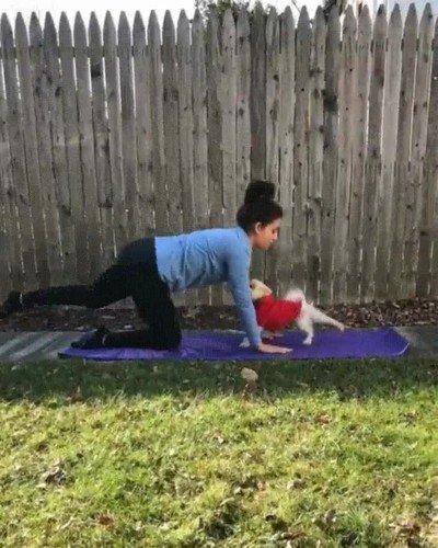 mejor,compa&ntilde;ero,yoga