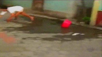 ni&ntilde;o,asustar,perro,comunidad