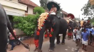 Enlace a Nunca te coloques detrás de un elefante