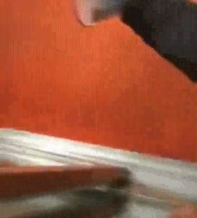 perro,odio,campana,tu tienes toda la culpa