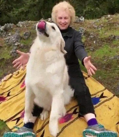 confiar,humana,perro,espaldas