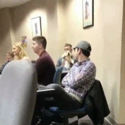 remedio,mascota,clase,derecho