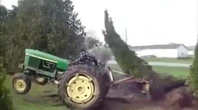 &aacute;rbol,resistir,arrancado