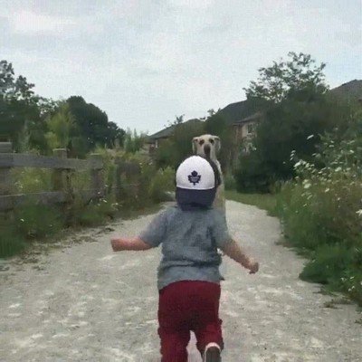 perro,controlarse,ni&ntilde;os,cerca