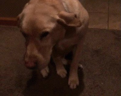 evitar,contacto,visual,liada