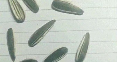 3 pipas,dibujadas,a mano