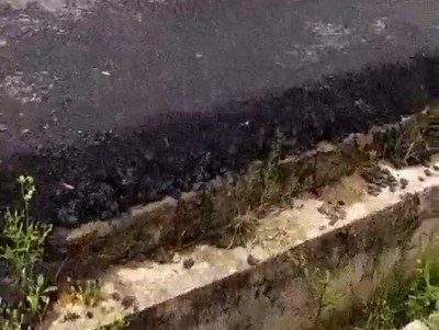 perros,aprender,saltar,comba,humano