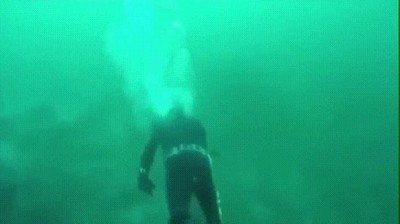 terror,submarinismo,tiburon,susto