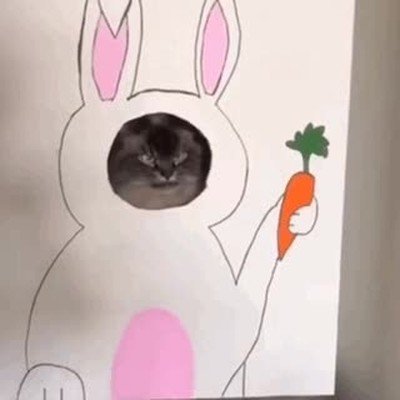 obligar,fiesta,socializar