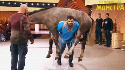 mundo,reves,caballos,encima,hombre