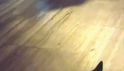 Enlace a Nunca podrás igualar mis movimientos en la pista de baile 