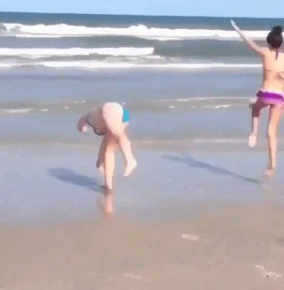 perro,imitar,humanos