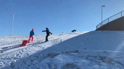 Enlace a Si no te caes esquiando lo harás por culpa de tu perro