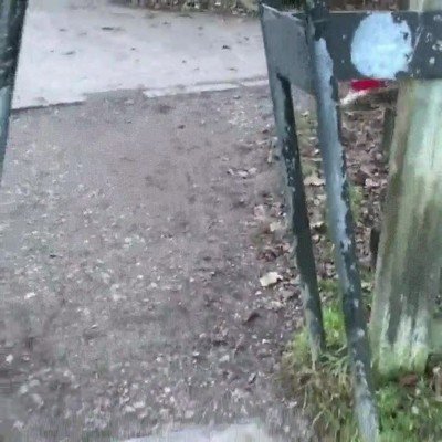 traici&oacute;n,amor,palo,perro,fail