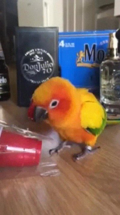 viernes,salir,fiesta,trabajo