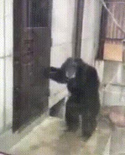 hermano,lavabo,dos horas,dentro