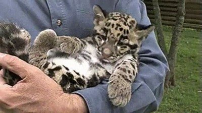 pensar,errores,ayer,noche