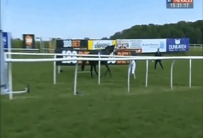 chica,parar,caballo,desatado