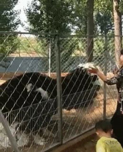 bailar,chica,discoteca