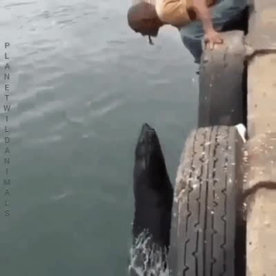 comida,boca,riesgo,romantico