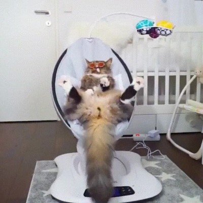 gente,preguntar,planes,fin de semana