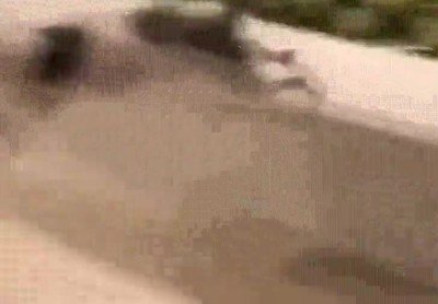 Enlace a Soy la venganza. Soy la noche. Soy Batman