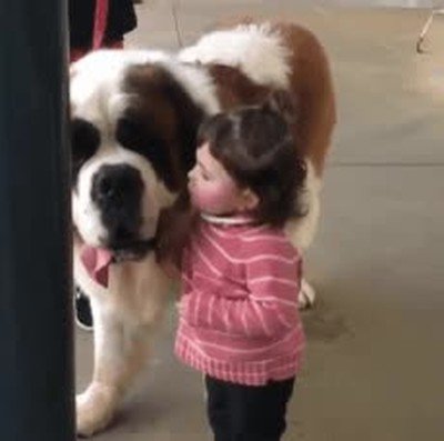 perrito,niña,beso