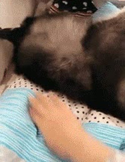 despertar,horas,desvelado