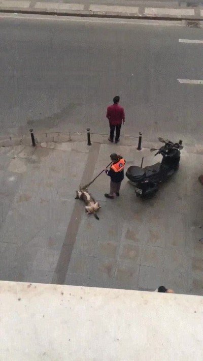 barrendero,amor,perro,callejero