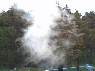 alergia,arbol,polen,sacudir