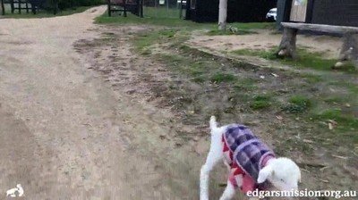 reacci&oacute;n,notas,verano,lujo