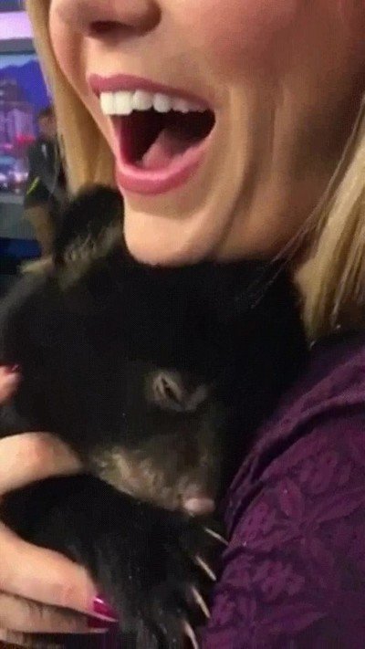 abrazo,adorable,hoy,oso