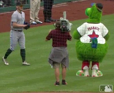 vacile,mascota,dolor,terreno de juego