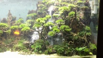 pasada,cascada,acuario