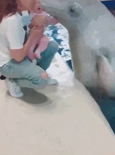 nada,solucionar,beso,bebe