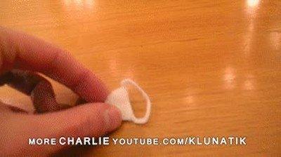 planta,carnivora,mona