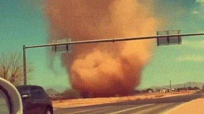 arizona,demonio,tasmania