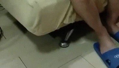 truco,magia,gato,flipar