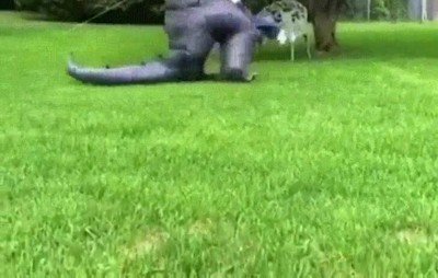 abrazo,divertido,ni&ntilde;os,miedo