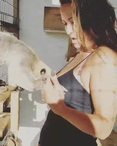animales,salidos,escote