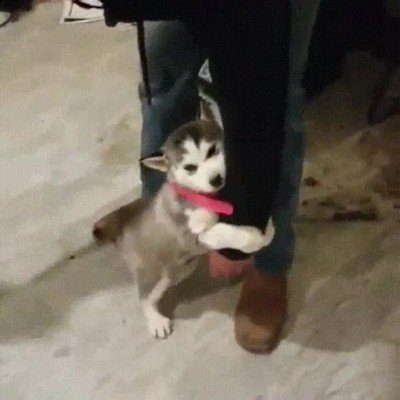 Enlace a Cuanto tu pareja tiene que irse unos días de vacaciones 