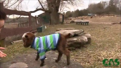 Enlace a La primera roca a la que sube. Un momento histórico