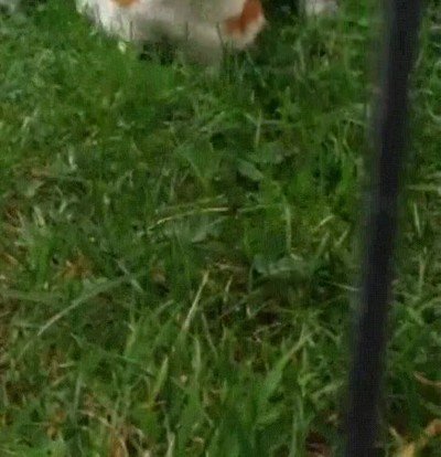 cerrar,llave,rallada