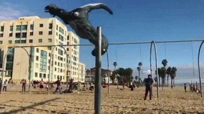 entrenar,dinosaurios,jurassic park