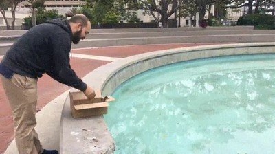 pato,rescatado,reuni&oacute;n,padres