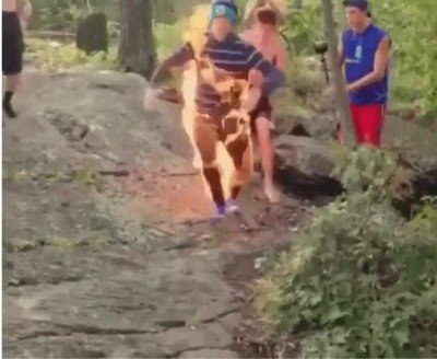 pensar,intentar,casa